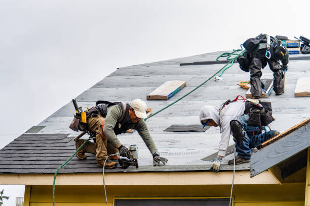 Professional Roof Inspection technician working in Angola, NY